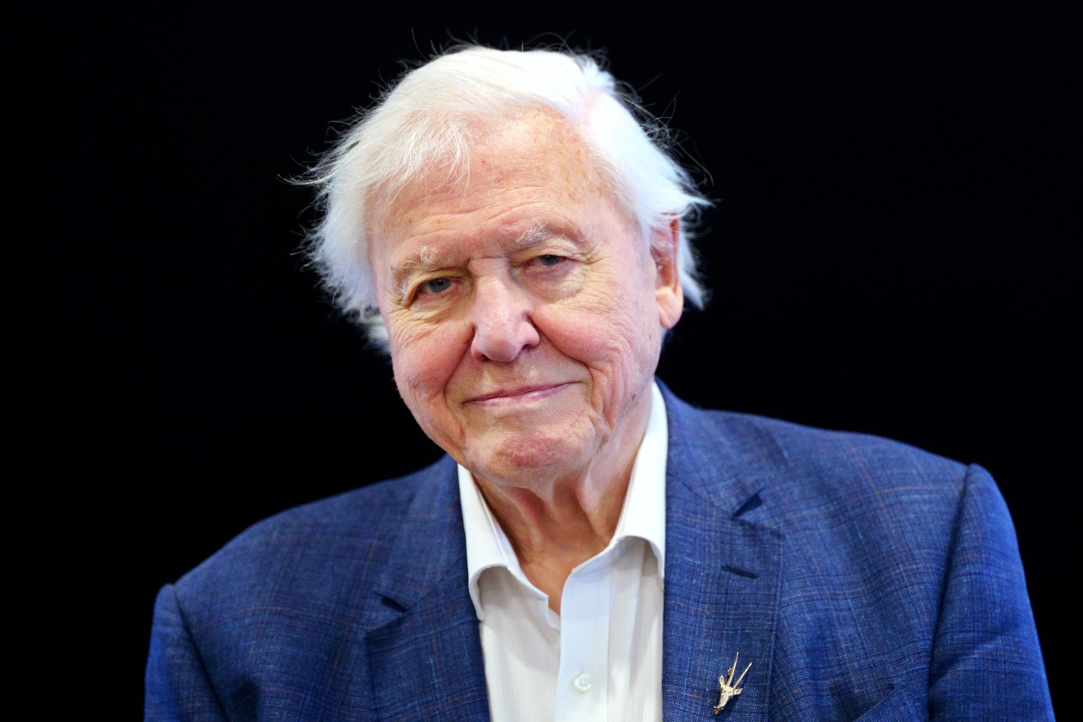 David Attenborough says he regrets not focusing on British wildlife programmes 