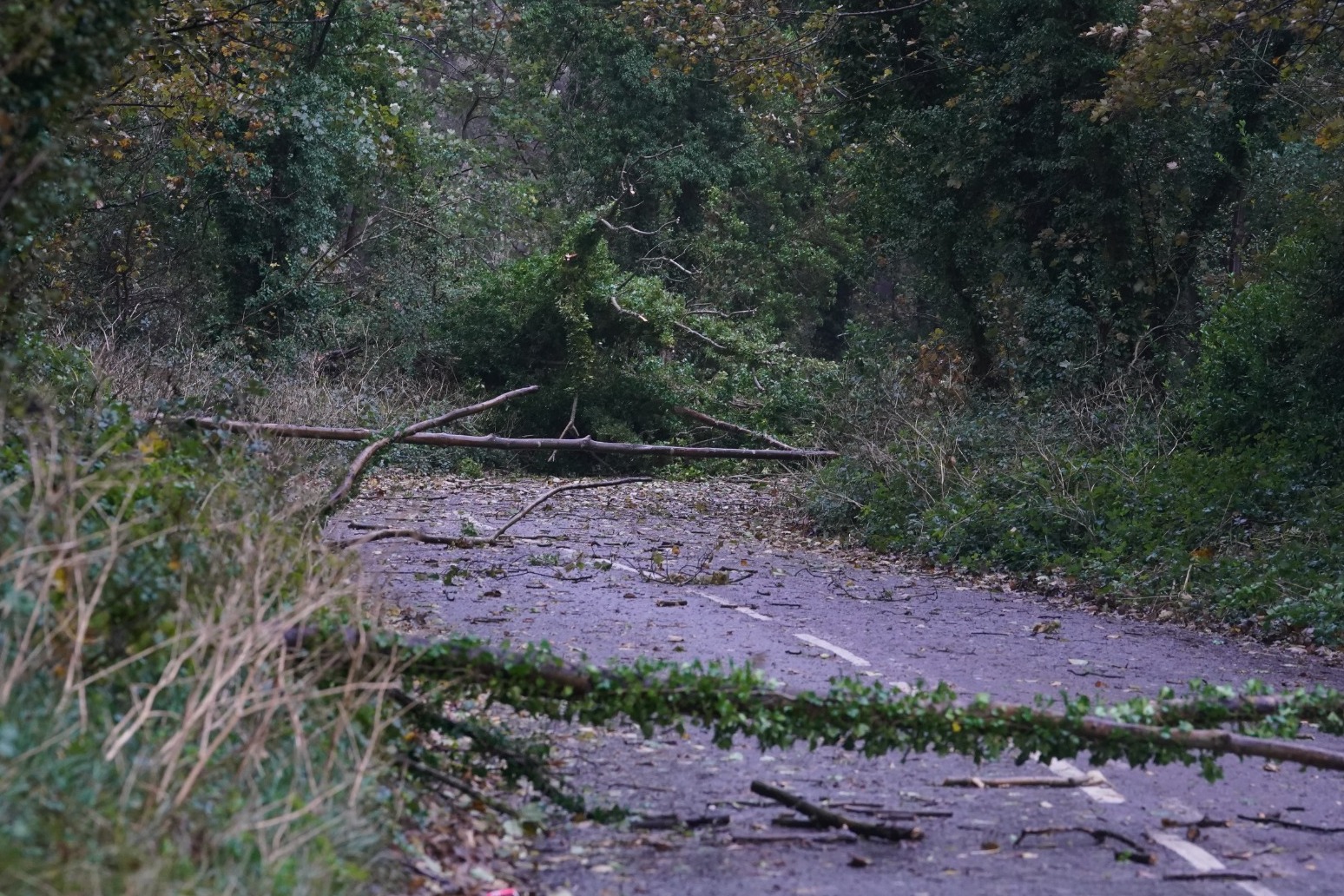 South of England and Channel Islands bear brunt of Storm Ciaran 