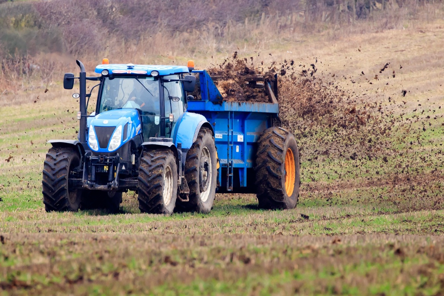 Labour sets 50% British food pledge to woo farmers 